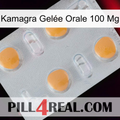 Kamagra Gelée Orale 100 Mg 24